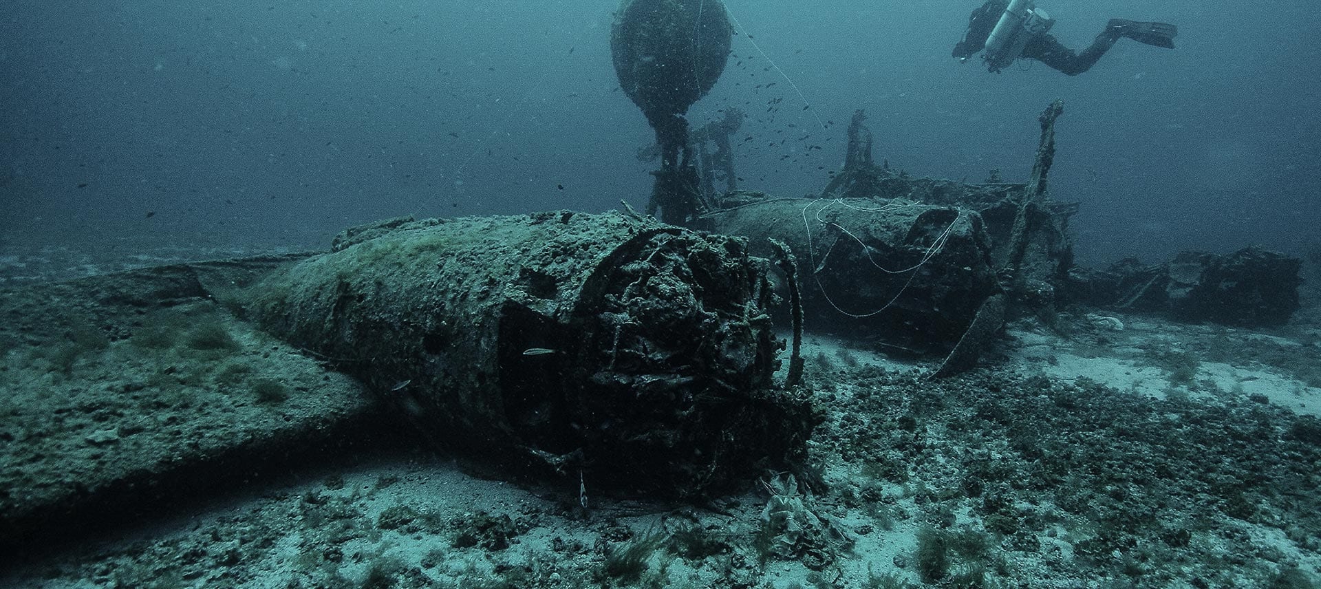 B-24 Liberator Tulsamerican