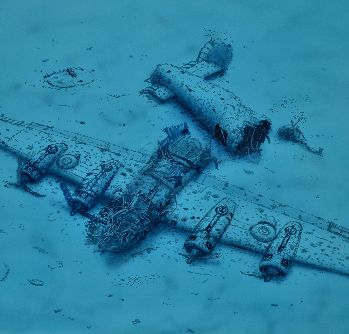 B-24 Lady Luck - Diving Vis